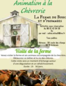 photo Animation à la chèvrerie