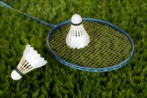 photo Soiré Badminton au vrac café