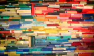 photo Salon du livre - La Truffière aux Livres de langue française