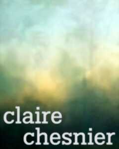 photo Exposition · une éclaircie à la verticale · claire chesnier