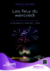 photo LES FEUX D'ARTIFICES DU MERCREDI AU PORT