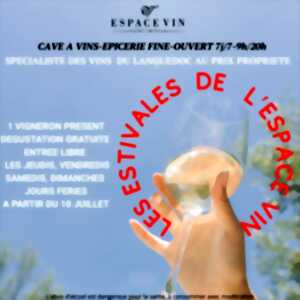 photo LES ESTIVALES DE L'ESPACE VIN