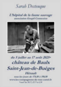 photo EXPOSITION SARAH DESTEUQUE