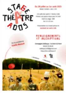 photo Stage théâtre ados châteaumeillant