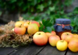 photo Fête de la pomme