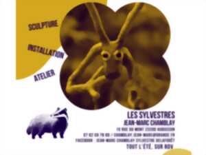 photo LA PASSEJAD'ART - Les Sylvestres