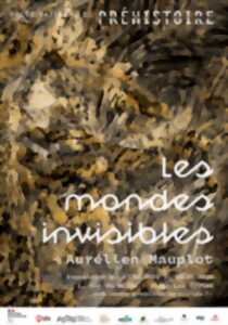 photo Exposition - Les mondes invisibles de Aurélien Mauplot