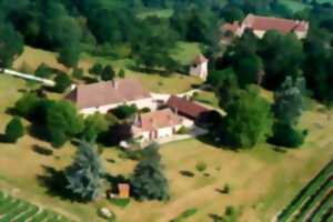 photo Visite des chais et dégustation | Château Terre Vieille
