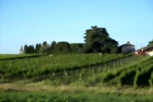 photo Château le Payral | Apérobio d'été