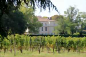 photo Visite dégustation | Château de la Jaubertie
