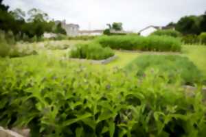 photo Découverte de la culture de la biodynamie | Château Monestier la Tour
