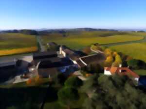 photo Visite guidée à 16h | Château Ladesvignes