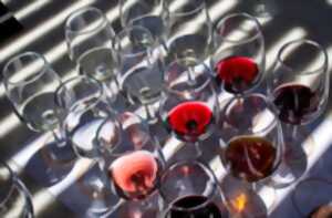 photo Dégustation à l'aveugle et apéro vigneron