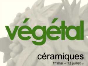 photo VÉGÉTAL