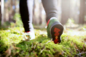 photo Balade Nature 