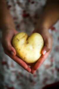 photo Atelier patates