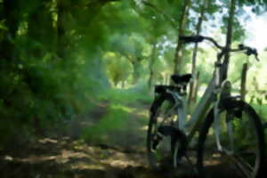 photo Sortie nature : sortie vélo pédagogique