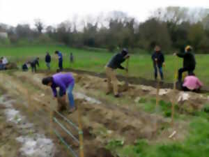 photo Atelier-chantier jardinage