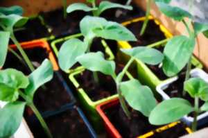 photo Animation au jardin