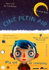photo Cinéma en plein air 