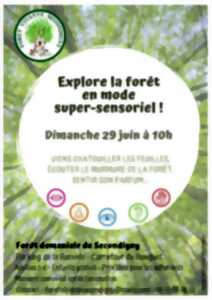 photo Explorer la forêt en mode super-sensoriel