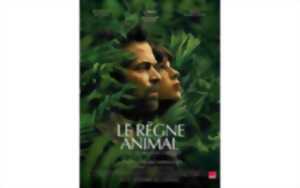 photo Un été au ciné - Le règne animal