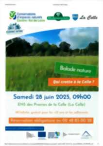 photo Balade nature, qui crotte à la Celle !?