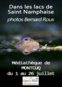 photo Dans les lacs de Saint Namphaise : exposition photos de l'artiste Bernard Roux