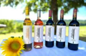 photo Accords mets et vins  | Château Lestevenie