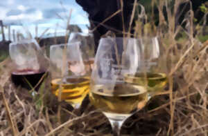 photo Dégustation de 4 vins | Vignobles Alard