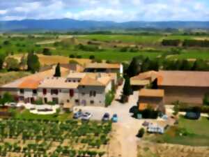 photo BALADES VIGNERONNES EN GRAND CARCASSONNE - DOMAINE DES HOMS