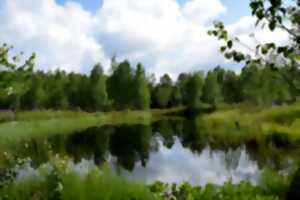 photo Ateliers-découverte : la petite faune aquatique du Lac de Feyt