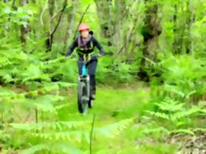photo Eté actif : Trottinette électrique tout terrain