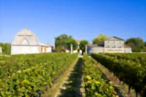 photo Échappées Gourmandes au Château Lacouture