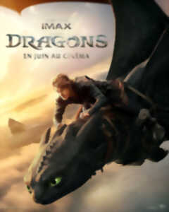 photo Dragons