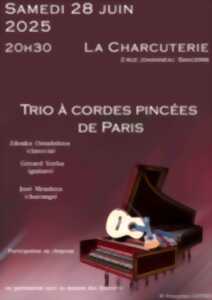 photo Concert Trio à cordes pincées de Paris