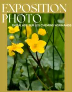 photo Exposition photo : En balade sur les chemins normands par Anastasia Sierpinski