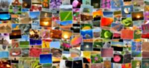 photo Exposition photos en plein air