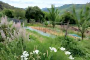 photo LES JARDINS DE BOUSSEGURES