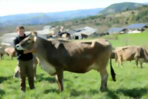 photo UN ÉTÉ À LA FERME : FRAISSINET