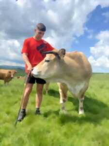 photo UN ÉTÉ À LA FERME : LE BROUILLET