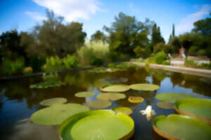 photo PLANTES SURPRENANTES