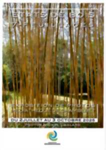 photo Exposition de photographies : Etats de bois 7 - Feuillages