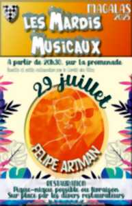 photo LES MARDIS MUSICAUX - FELIPE ARTMAN