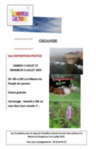 photo EXPOSITION PHOTOS