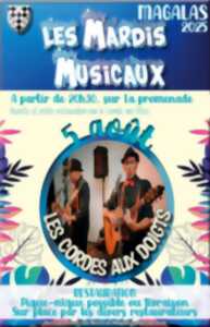 photo LES MARDIS MUSICAUX - LES CORDES AUX DOIGTS