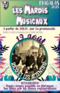 photo LES MARDIS MUSICAUX - RICO'S ET LES ATTENTIFS