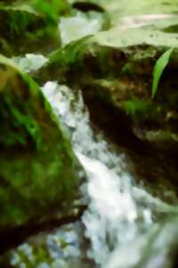 photo Hydrologie régénérative - La Rapiette à 3 têtes