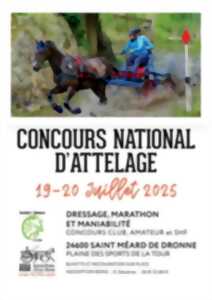 photo Concours National d'Attelage