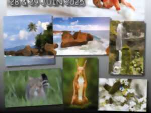 photo Expo photos